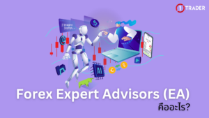 Forex Expert Advisors (EA) คืออะไร ?
