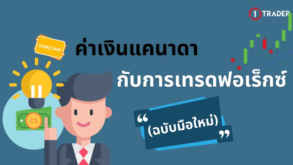 ค่าเงินแคนาดา (USDCAD) กับการเทรดฟอเร็กซ์ฉบับมือใหม่เข้าใจง่าย