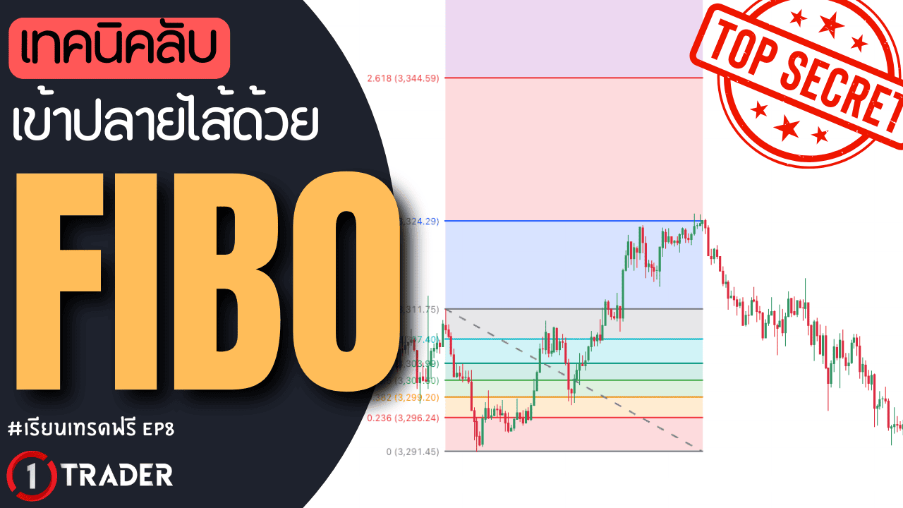 FIBO คืออะไร