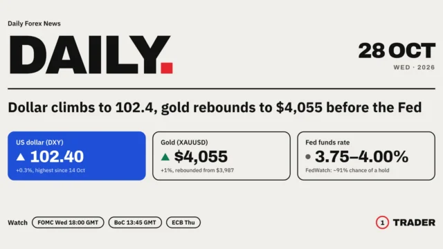 Forex News 28 Oct 2026: Dollar Climbs to 102.4, Gold Rebounds to $4,055